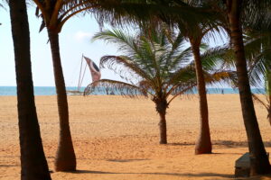 strand-negombo-sri-lanka