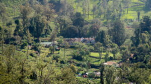 glendevon-scottish-planter-bungalow-nuwara-eliya