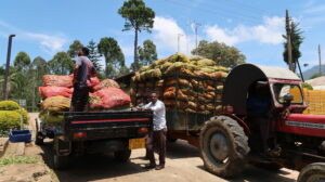 leverans-te-nuwara-eliya-sri-lanka