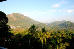 bergen-kandy-sri-lanka