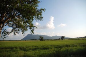 anlita-chauffor-sri-lanka