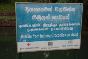 lejonberget-sigiriya-sri-lanka